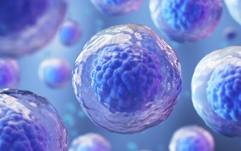 Embryo Grading: Understanding How Embryo Quality is Measured