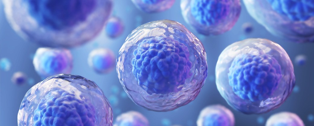 Embryo Grading: Understanding How Embryo Quality is Measured 