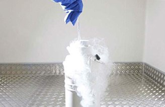 Cryopreservation